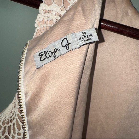 Eliza J Ivory Crochet Lace with Nude Underlay Sleeveless Petite Sheath Dress 2P - Picture 8 of 12